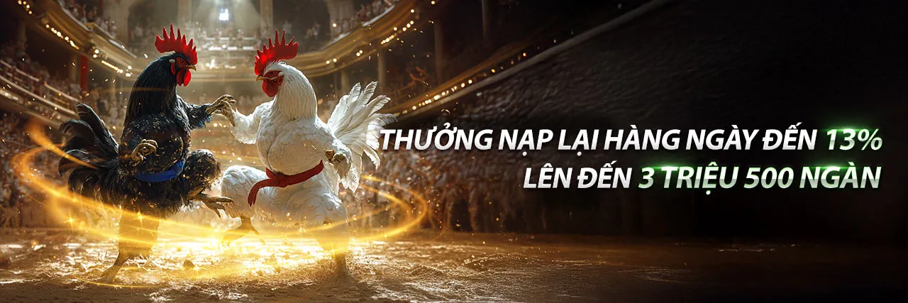 Tải ứng dụng 88qq Nhà Cái ngay